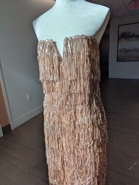 Blush RoseNova Lux Gold Fringe Sequin Column Dress